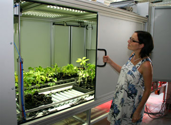 PlantScreen植物表型成像分析系统（植物自动传送版）