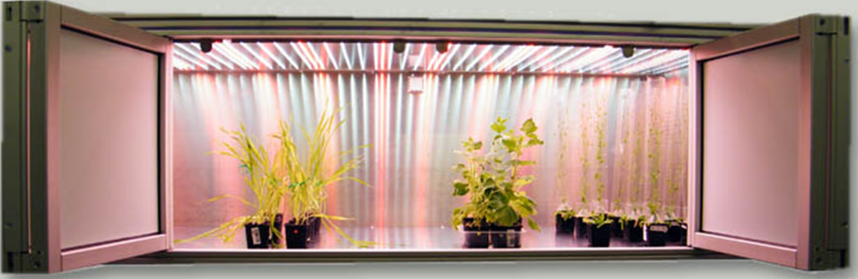 智能LED（种子萌发生长）培养台