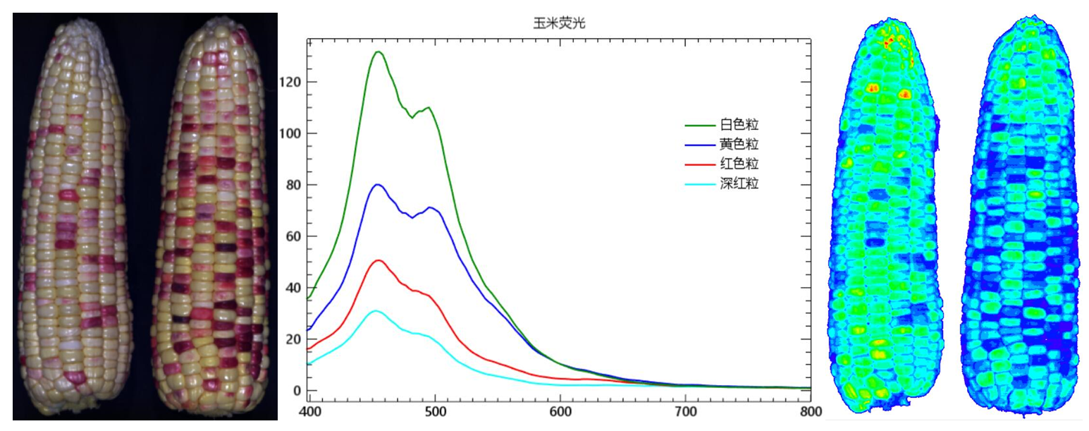 微信截图_20220507152908.png