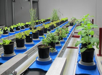 PlantScreen大型版植物表型成像分析系统（二）