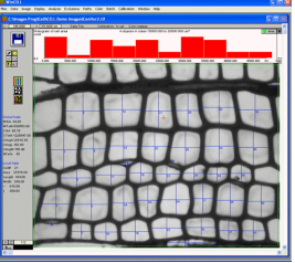 WinCELL木材细胞分析软件